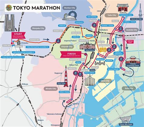 How To Enter The Tokyo Marathon: Cost & Who Can .